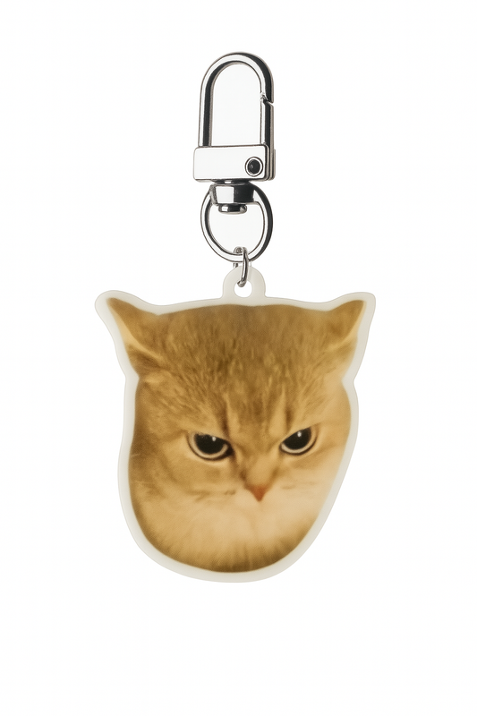 Aggressive Katze Schlüsselanhänger