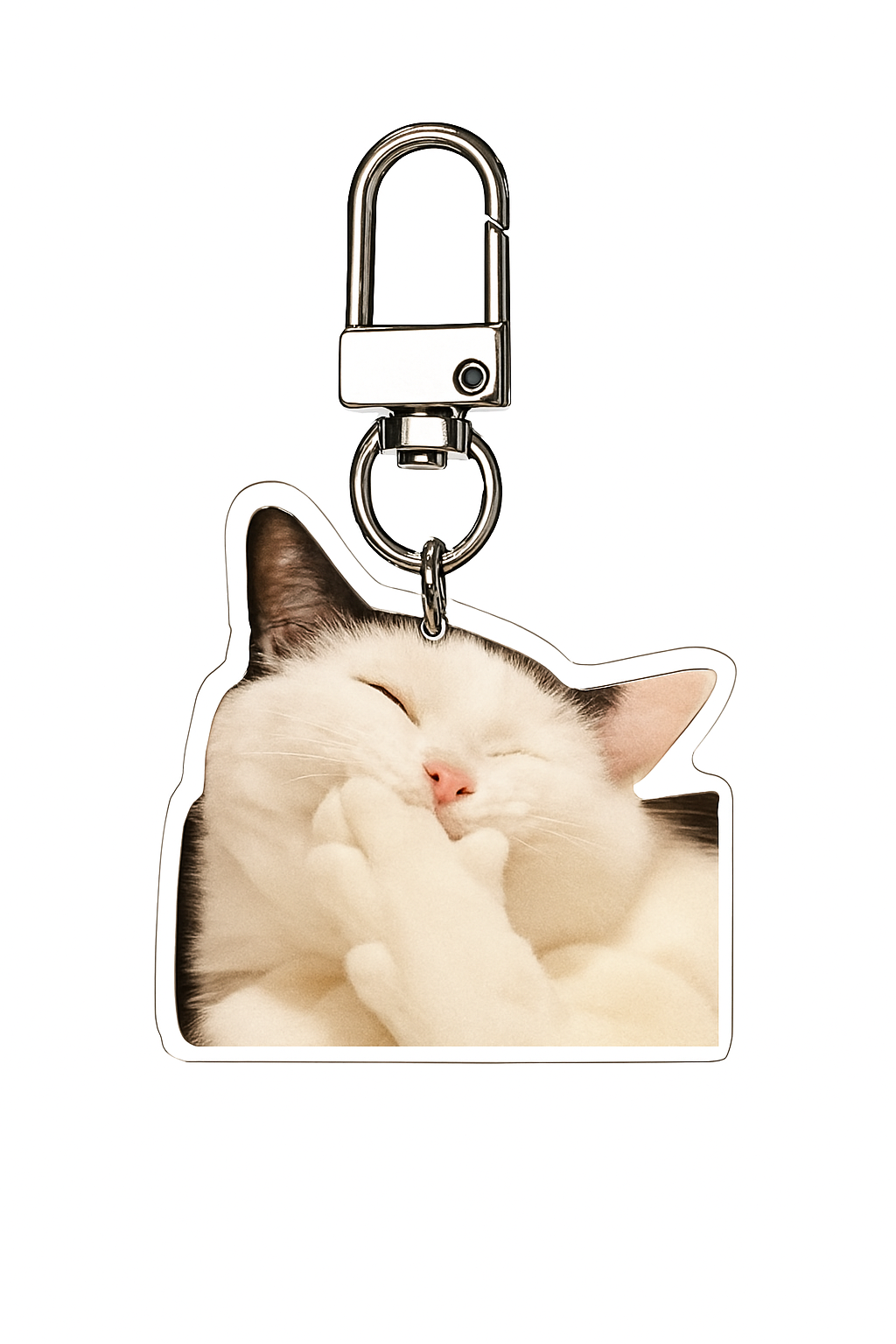 Die Fröhliche Katze Schlüsselanhänger