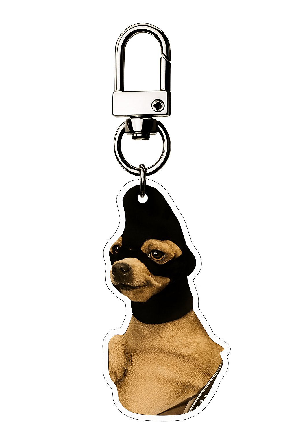 Maskierte Hund Schlüsselanhänger